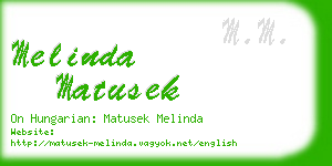 melinda matusek business card